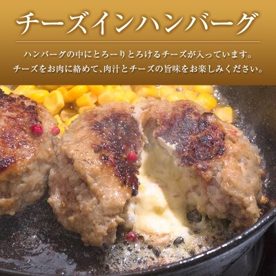 ◆宮崎県産こだわりハンバーグとチーズインハンバーグセット(合計1.26kg)