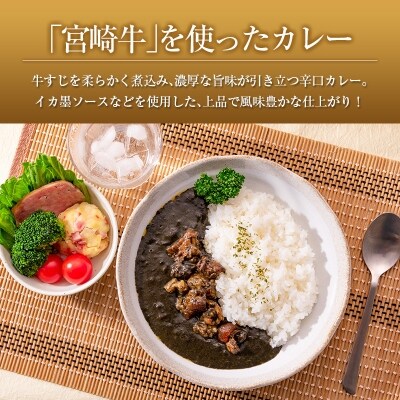 ◆宮崎牛すじ濃厚黒カレー(辛口)　合計1kg(200g×5食)