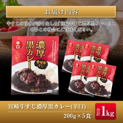 ◆宮崎牛すじ濃厚黒カレー(辛口)　合計1kg(200g×5食)