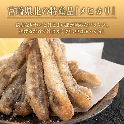 極上イタリア製ファクトリー 宮崎近海どれ 魚揚げ物 2種セット 合計1 24kg 新作 Www Msg Com Ar