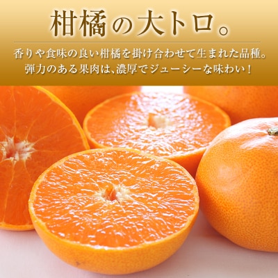 ◇宮崎県産 せとか 約3kg(8～12玉入)