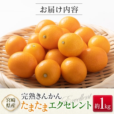 ◇宮崎県産 完熟きんかん「たまたまエクセレント」 糖度18度以上 約1kg