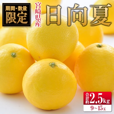 ◇宮崎県産ハウス日向夏 合計約2.5kg(9～15玉入)