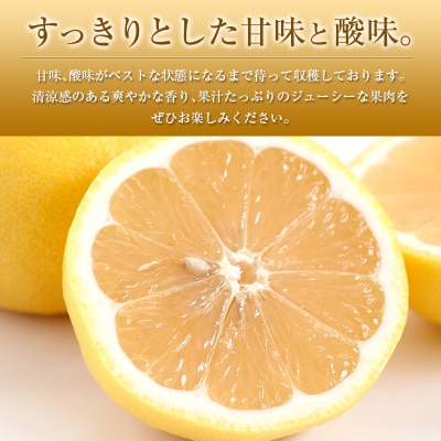 ◇宮崎県産ハウス日向夏 合計約2.5kg(9～15玉入)