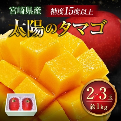 【2027年発送】糖度15度以上『太陽のタマゴ』 約1kg 2～3玉 宮崎県産 完熟マンゴー 