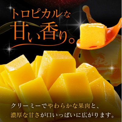 【2027年発送】糖度15度以上『太陽のタマゴ』 約1kg 2～3玉 宮崎県産 完熟マンゴー 
