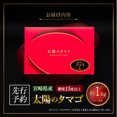 ≪先行予約≫ 宮崎県産 完熟マンゴー「太陽のタマゴ」約1kg 計2～3玉 2026年発送 ブランド 