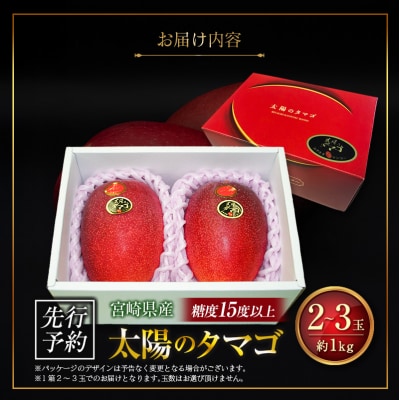 ≪先行予約≫ 宮崎県産 完熟マンゴー「太陽のタマゴ」約1kg 計2～3玉 2026年発送 ブランド 