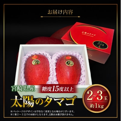 【2027年発送】糖度15度以上『太陽のタマゴ』 約1kg 2～3玉 宮崎県産 完熟マンゴー 