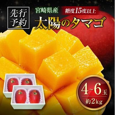 ≪先行予約≫ 宮崎県産 完熟マンゴー「太陽のタマゴ」約2kg 計4～6玉 2026年発送 ブランド 