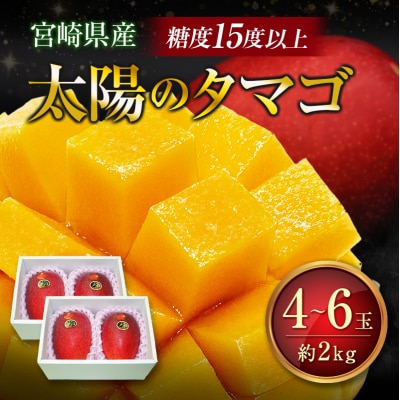 糖度15度以上『太陽のタマゴ』 約2kg 4～6玉 宮崎県産 完熟マンゴー ブランド 贈答 ギフト 
