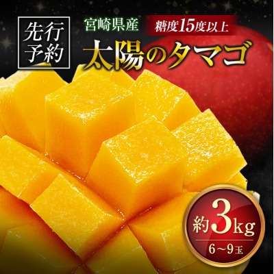 ≪先行予約≫ 宮崎県産 完熟マンゴー「太陽のタマゴ」約3kg 計6～9玉 2026年発送 ブランド 