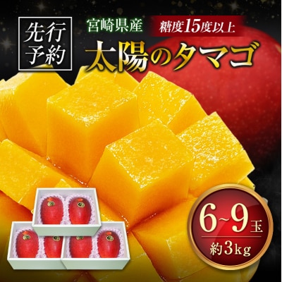 ≪先行予約≫ 宮崎県産 完熟マンゴー「太陽のタマゴ」約3kg 計6～9玉 2026年発送 ブランド 