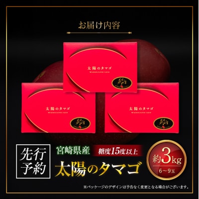 ≪先行予約≫ 宮崎県産 完熟マンゴー「太陽のタマゴ」約3kg 計6～9玉 2026年発送 ブランド 