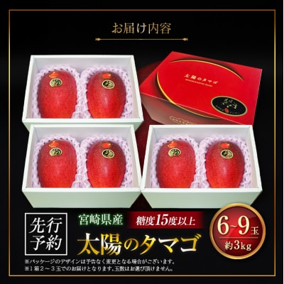 ≪先行予約≫ 宮崎県産 完熟マンゴー「太陽のタマゴ」約3kg 計6～9玉 2026年発送 ブランド 