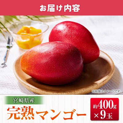 ◆宮崎県産 完熟マンゴー(9玉)
