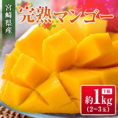 【2027年発送】宮崎県産 完熟マンゴー(合計約1kg)