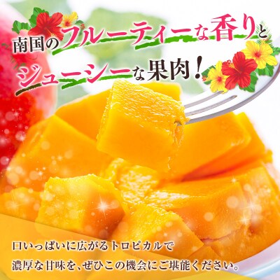 【2027年発送】宮崎県産 完熟マンゴー(合計約1kg)