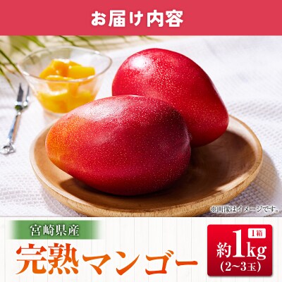 【2027年発送】宮崎県産 完熟マンゴー(合計約1kg)