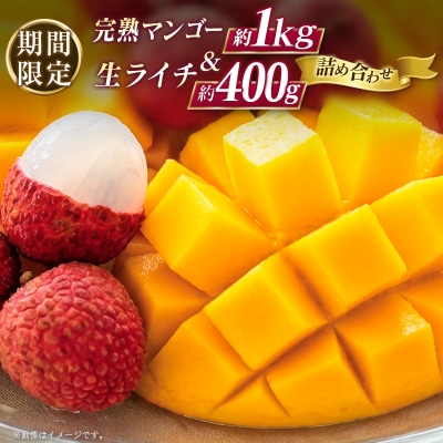 【2027年発送】宮崎県産 マンゴー&ライチセット(合計約1.4kg)