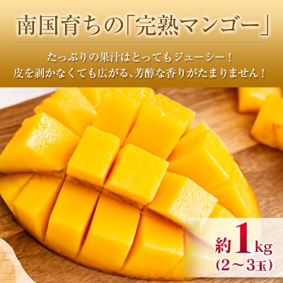 ◆宮崎県産 マンゴー&ライチセット(合計約1.4kg)