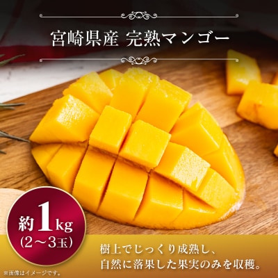 【2027年発送】宮崎県産 マンゴー&ライチセット(合計約1.4kg)
