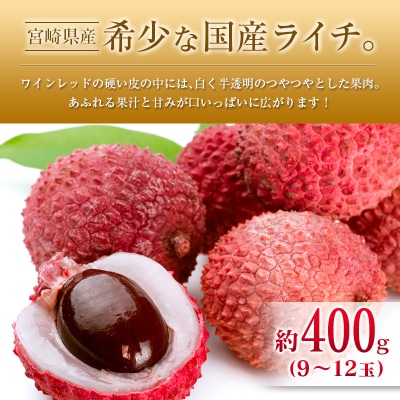 ◆宮崎県産 マンゴー&ライチセット(合計約1.4kg)