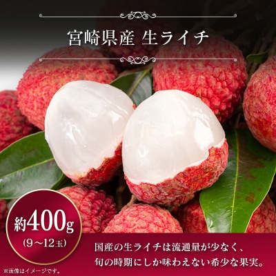 【2027年発送】宮崎県産 マンゴー&ライチセット(合計約1.4kg)