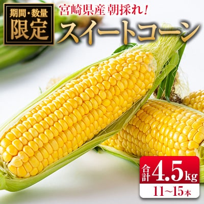 【2027年発送】朝採れスイートコーン (合計約4.5kg) 宮崎県産