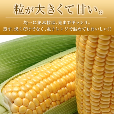 【2027年発送】朝採れスイートコーン (合計約4.5kg) 宮崎県産