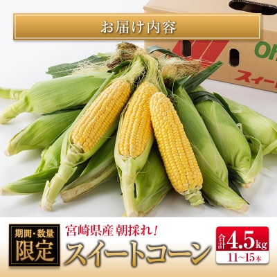 【2027年発送】朝採れスイートコーン (合計約4.5kg) 宮崎県産