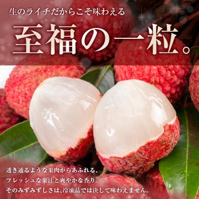 ◆希少!宮崎県産 生ライチ(合計約400g)