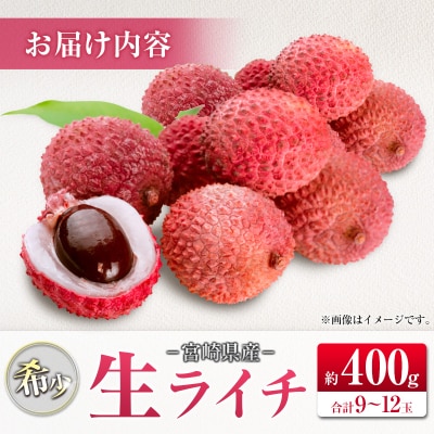 ◆希少!宮崎県産 生ライチ(合計約400g)