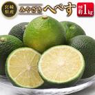 ◆みやざきへべす 約1kg 宮崎県産