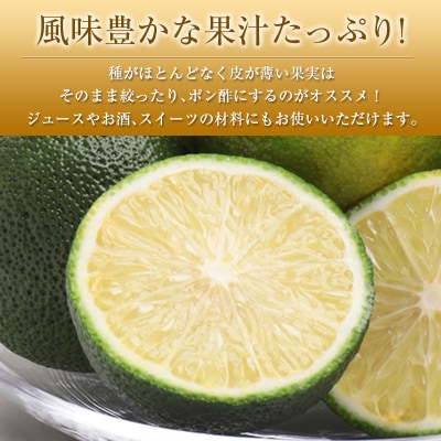 ◆みやざきへべす 約1kg 宮崎県産