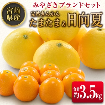◆みやざきブランドセット(完熟きんかん たまたま・日向夏)合計約3.5kg 宮崎県産