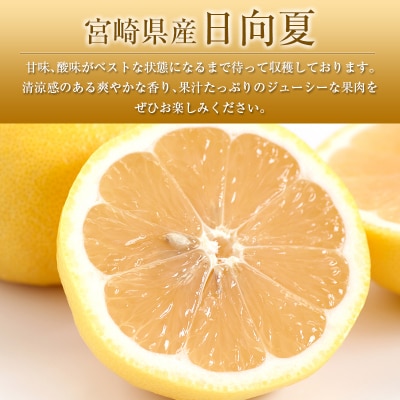 ◆みやざきブランドセット(完熟きんかん たまたま・日向夏)合計約3.5kg 宮崎県産