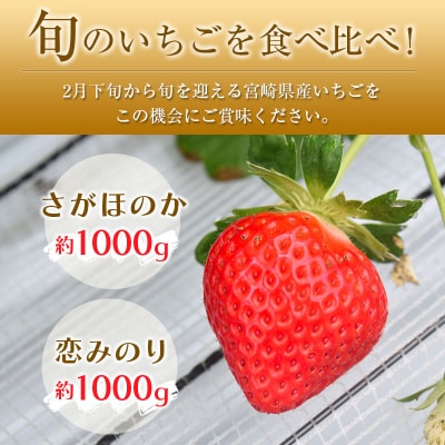 ◆宮崎県産いちご「さがほのか」「恋みのり」食べ比べセット(各4パック)