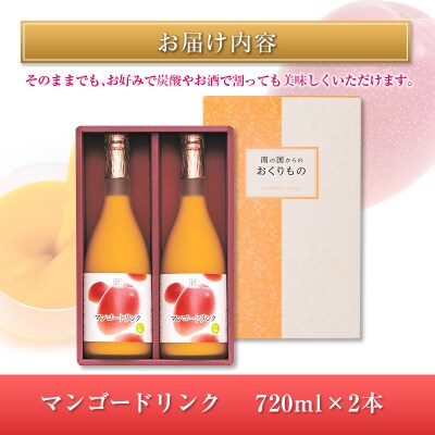□宮崎果汁　マンゴードリンク2本セット(合計1.44L)