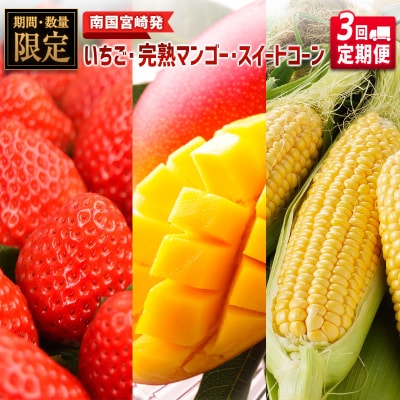 ◆「南国宮崎発」　いちご・完熟マンゴー・スイートコーン　3回定期便
