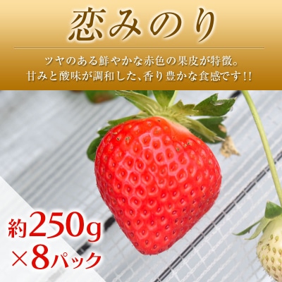 ◆「南国宮崎発」　いちご・完熟マンゴー・スイートコーン　3回定期便