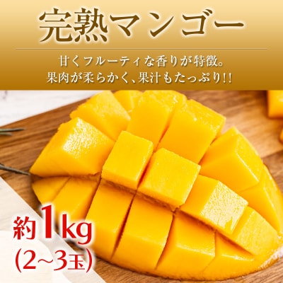 ◆「南国宮崎発」　いちご・完熟マンゴー・スイートコーン　3回定期便