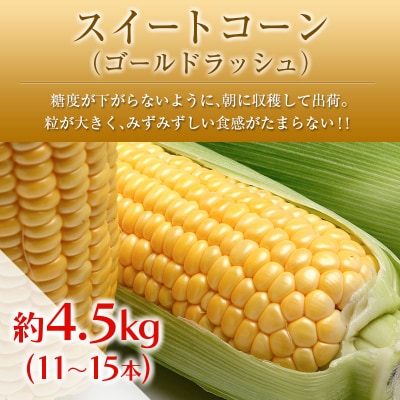 ◆「南国宮崎発」　いちご・完熟マンゴー・スイートコーン　3回定期便