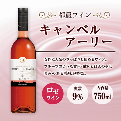 □【大阪屋】宮崎産ワイン　2種セット