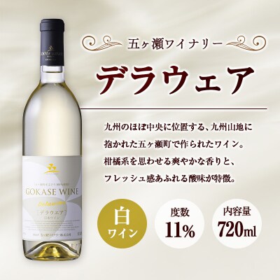 □【大阪屋】宮崎産ワイン　2種セット