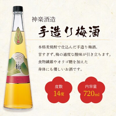 ◆宮崎の梅酒飲み比べ3本セット(720ml)