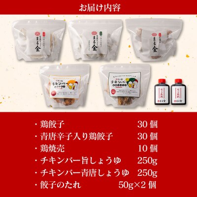 宮崎鶏ぎょうざ「まる金」のおもてなし5種セット 餃子のたれ付き