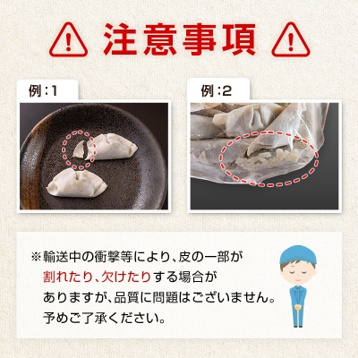 <定期便・全4回>「一口餃子の大明神」一口餃子セット 50個入り×1袋 タレ付き 毎月お届け