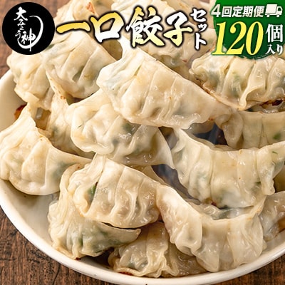 ◇<定期便・全4回>「一口餃子の大明神」一口餃子セット 2箱(120個入り) 毎月お届け