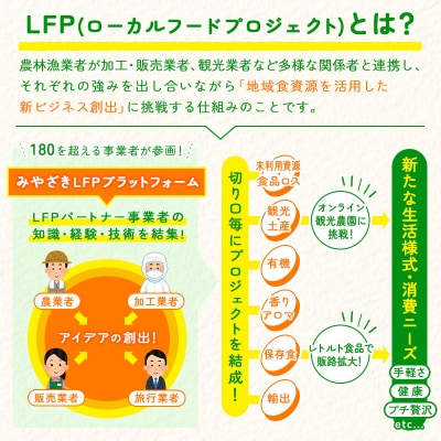 ぺろっと食べれるスープ鍋の素(トマト味) 計30袋(1袋200g) LFP